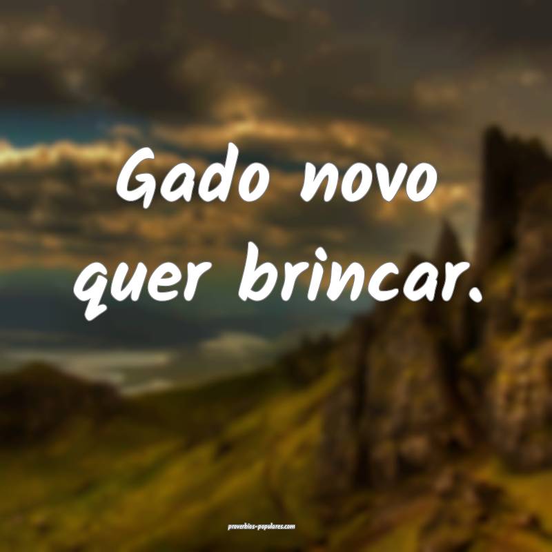 Gado novo quer brincar.
...