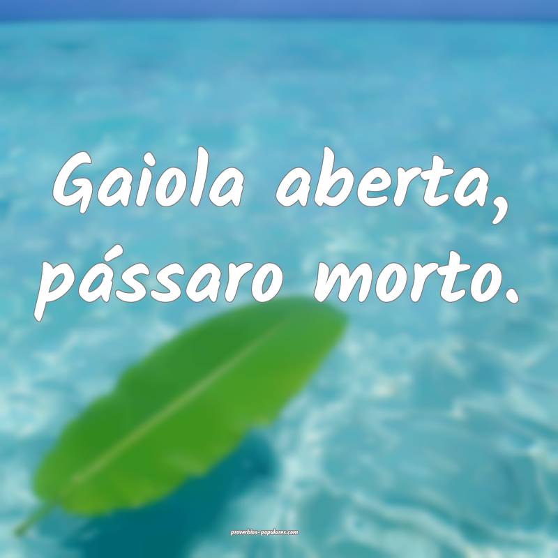 Gaiola aberta, pássaro morto.
...