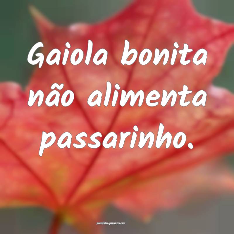 Gaiola bonita não alimenta passarinho.
...