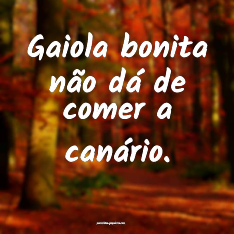 Gaiola bonita não dá de comer a canário.
...