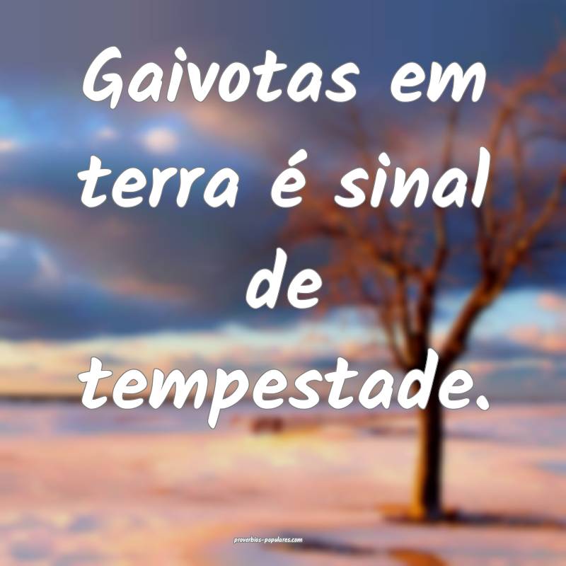 Gaivotas em terra é sinal de tempestade.
...