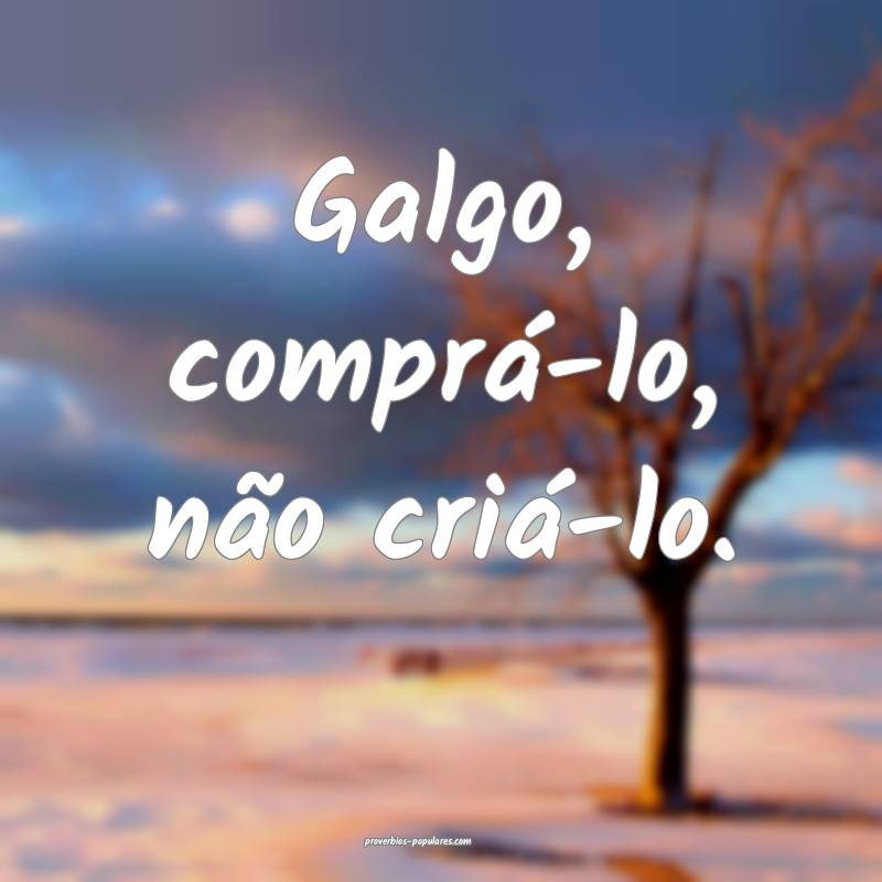 Galgo, comprá-lo, não criá-lo.
...
