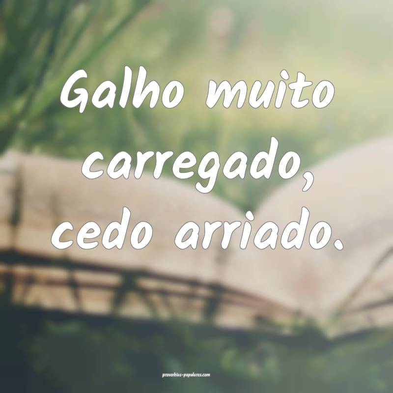 Galho muito carregado, cedo arriado.
 ...