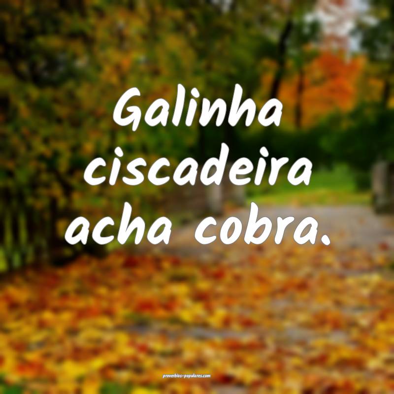 Galinha ciscadeira acha cobra.
...