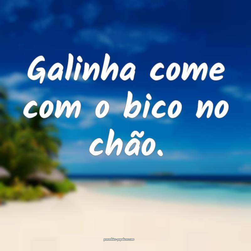 Galinha come com o bico no chão.
 ...