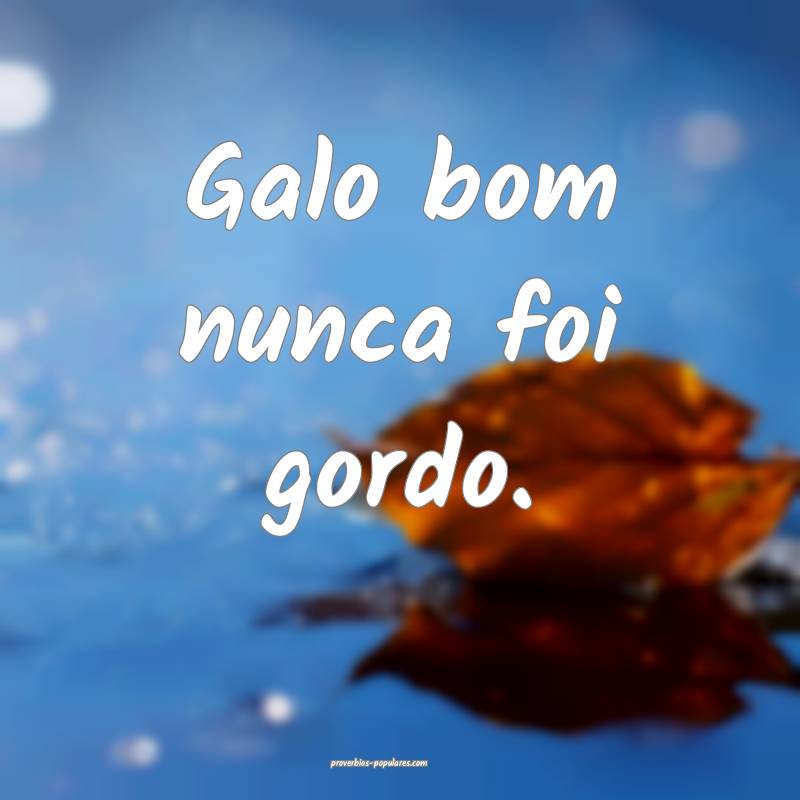 Galo bom nunca foi gordo.
...