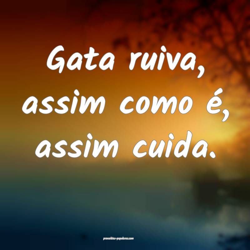 Gata ruiva, assim como é, assim cuida.
...