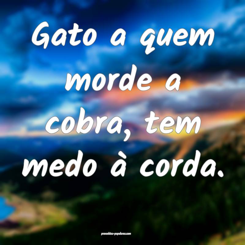 Gato a quem morde a cobra, tem medo à corda.
 ...