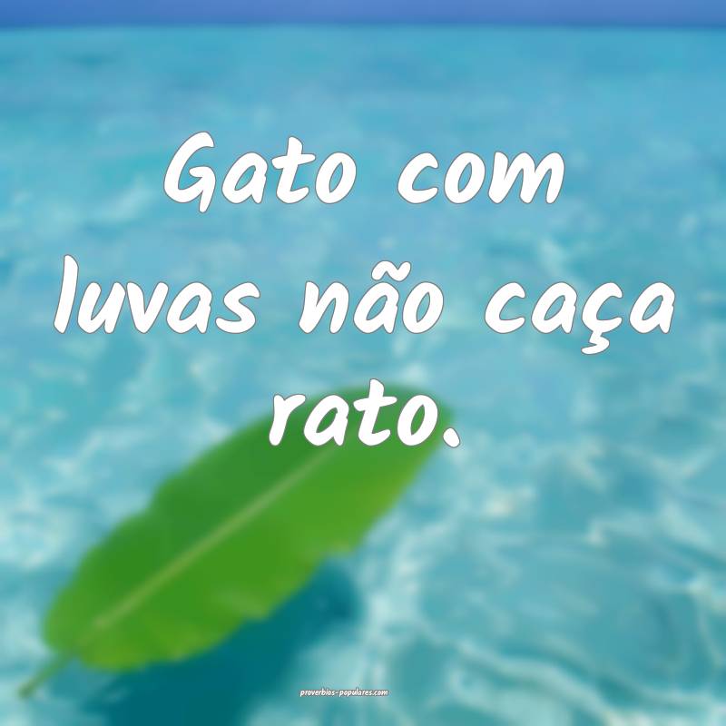 Gato com luvas não caça rato.
...