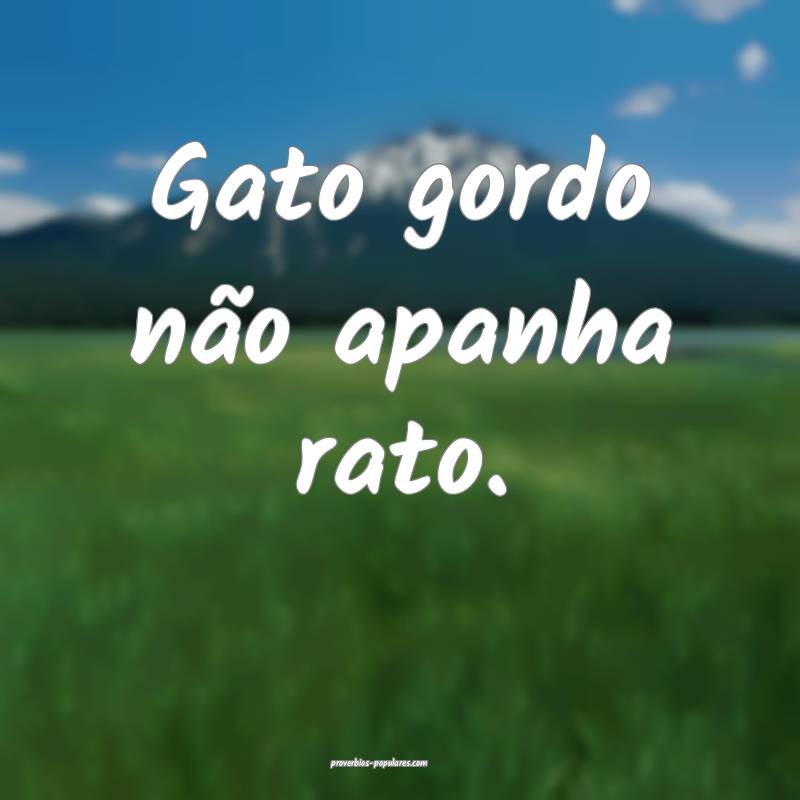 Gato gordo não apanha rato.
...