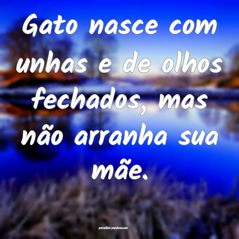 Gato nasce com unhas e de olhos fechados, mas não arranha sua mãe.
...