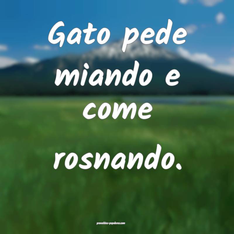 Gato pede miando e come rosnando.
 ...