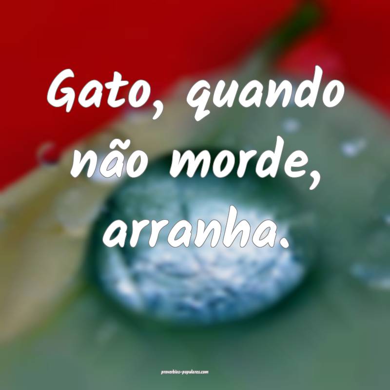 Gato, quando não morde, arranha.
...