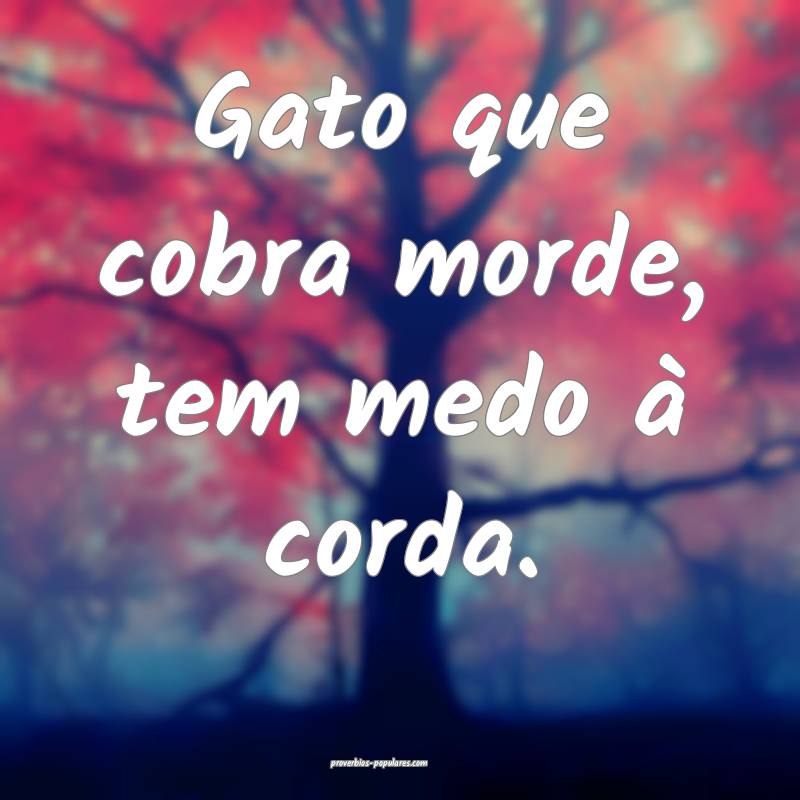 Gato que cobra morde, tem medo à corda.
...