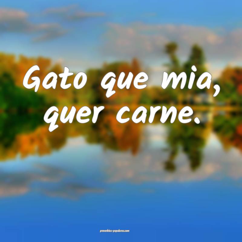 Gato que mia, quer carne.
...