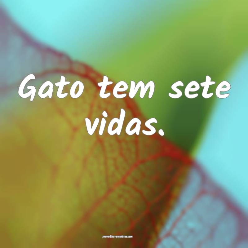 Gato tem sete vidas.
...