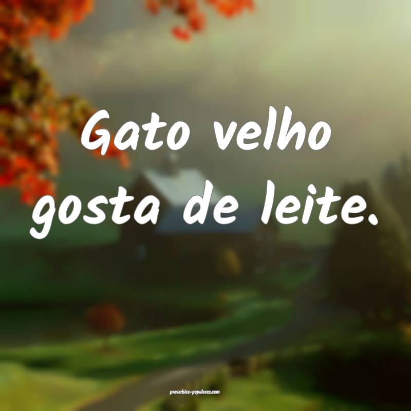 Gato velho gosta de leite.
...