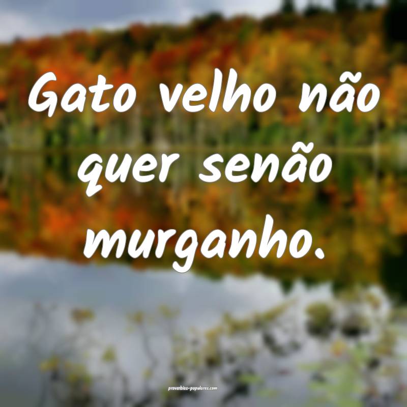 Gato velho não quer senão murganho.
...